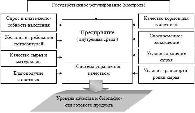 Где можно найти кисломолочные полезные бактерии: продукты и препараты