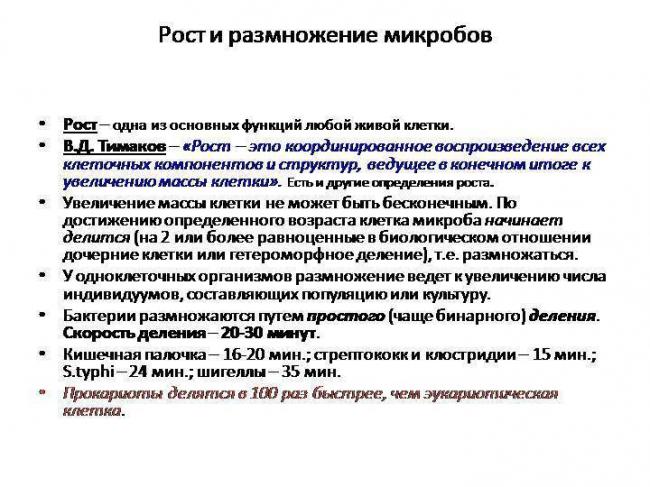 Рост и размножение бактерий