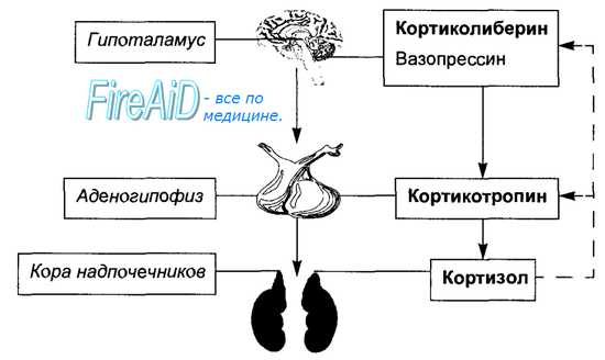 Повышен актг