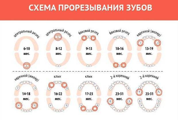 Может ли быть при прорезывании зубов насморк и кашель?