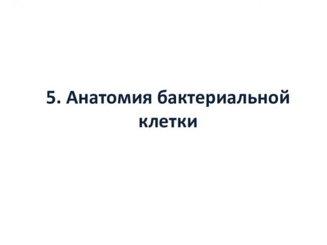 Основные методы лабораторного выявления бактерий