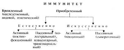 Активный и пассивный иммунитет и их виды
