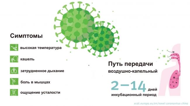 Порошки от простуды