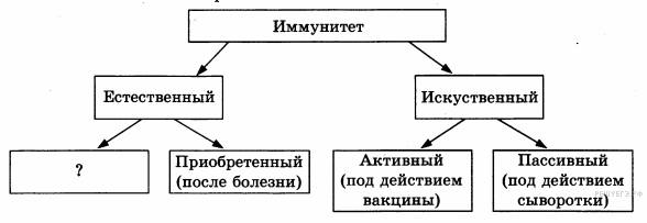 Естественный активный иммунитет вырабатывается в результате