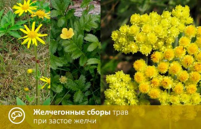 Желчегонный сбор №2