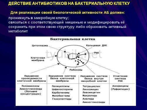 Как правильно разводить антибиотик Цефтриаксон Какие использовать растворители новокаин, лидокаин, вода для инъекций для уменьшения боли и какое количество их необходимо для получения дозировки 1000 мг, 500 мг и 250 мг для взрослых и детей