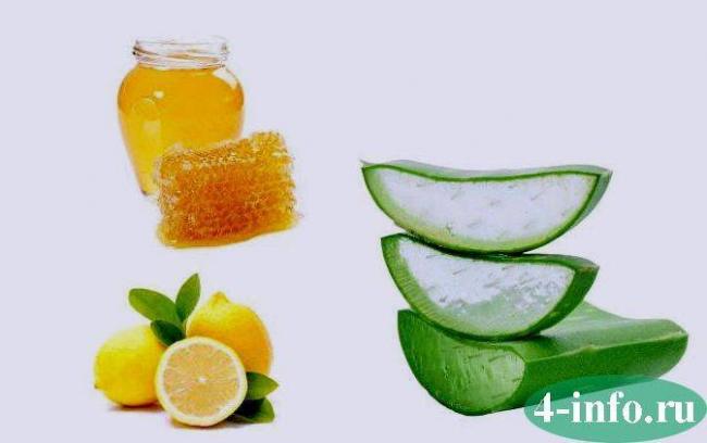 Алоэ с медом от кашля: рецепт приготовления в домашних условиях