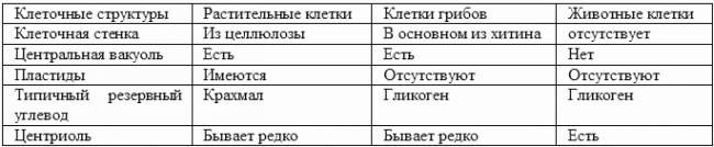 Что общего и какие различия между клетками растений, грибов, бактерий и животных?