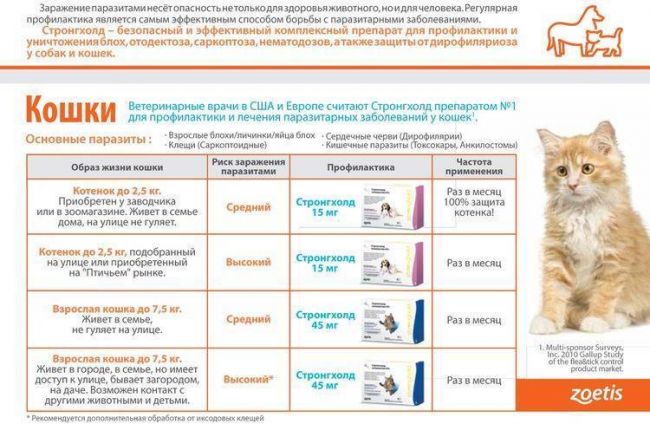 Цистофан для кошек инструкция по применению