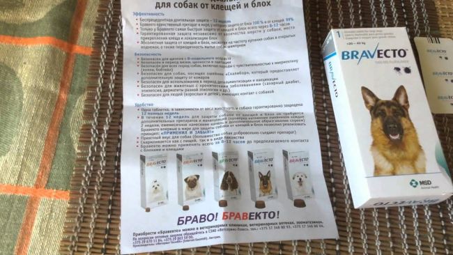«бравекто» для собак: инструкция по применению