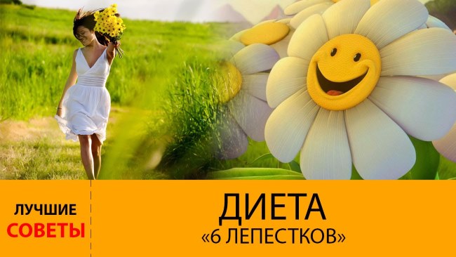 Диета 6 лепестков — меню и отзывы