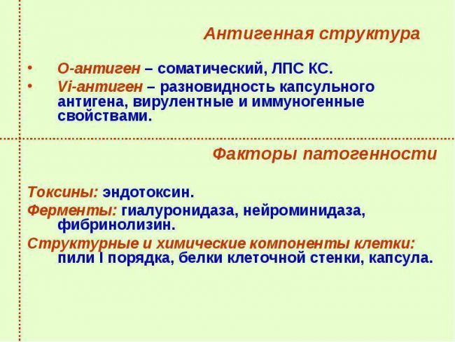 Возбудитель сибирской язвы план 1.морфология возбудителя 2. культуральные и биохимические свойства 3.диагностика и профилактика сибирской язвы здоровье. - презентация