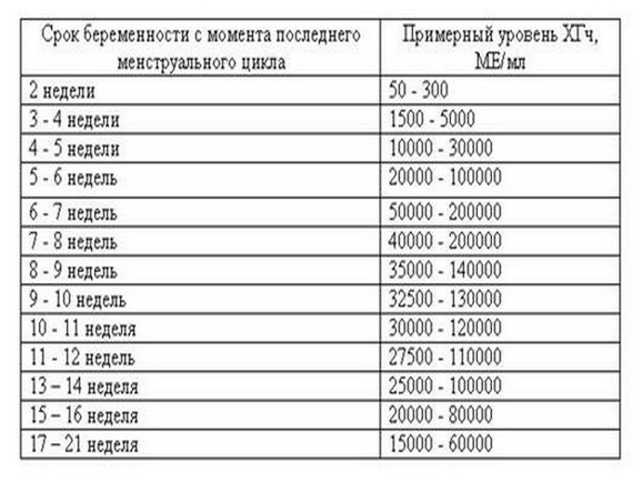 Хгч при беременности: норма по неделям, таблица, расшифровки