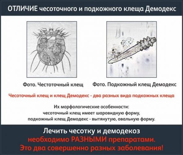 "демазол": отзывы, инструкция