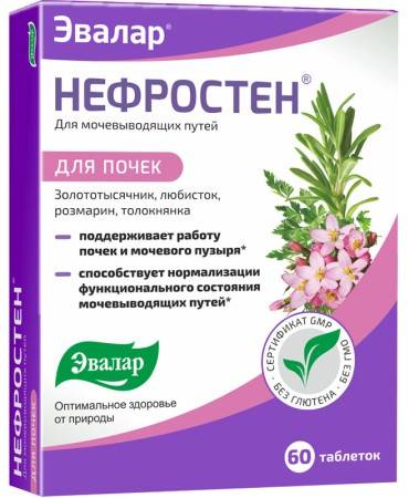 Нефросан форте: инструкция по применению, цена, отзывы, аналоги