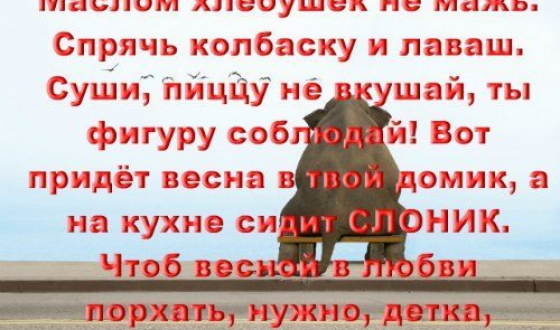 Диета весна отзывы результаты