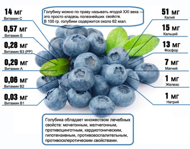 Черника при пониженном давлении