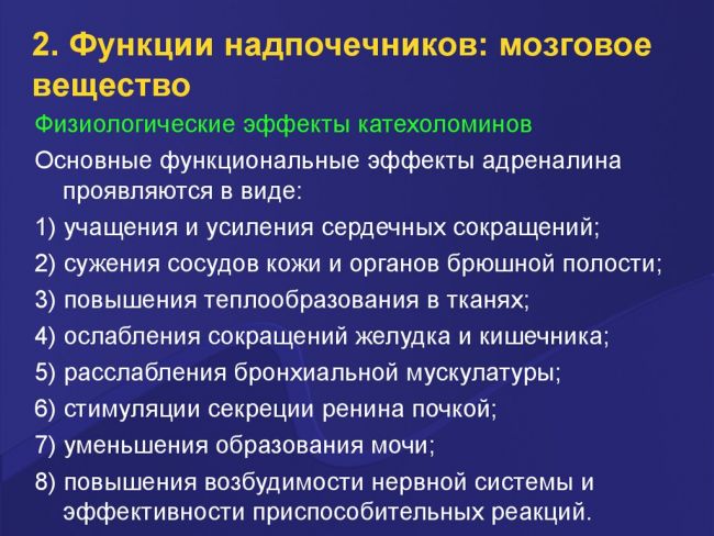 Гормон адреналин - за что он отвечает? что такое норадреналин?