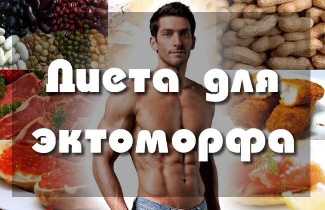 Рацион эндоморфа для похудения