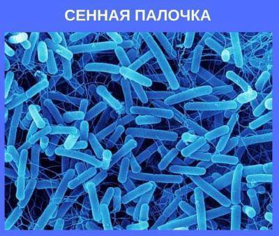 Ii международный конкурс научно-исследовательских и творческих работ учащихся
старт в науке