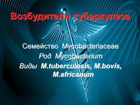 Возбудитель туберкулеза – строение, изменчивость микобактерии туберкулеза.