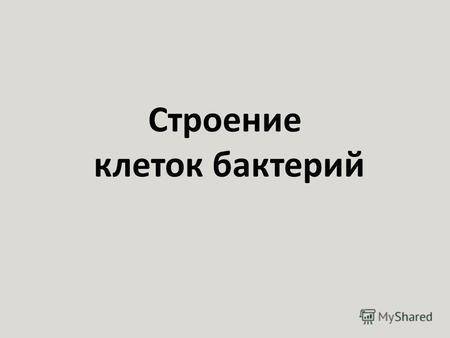 Царства живой природы