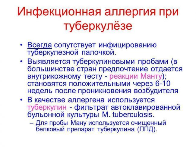 Палочка коха - возбудитель туберкулеза. фото