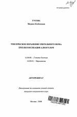 Признаки алкоголизма