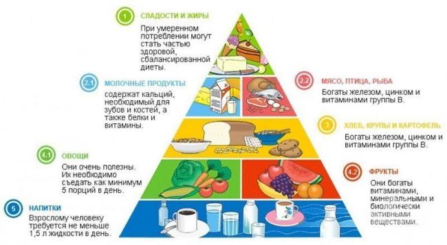 Суточная норма калорий для женщин и мужчин — онлайн расчет