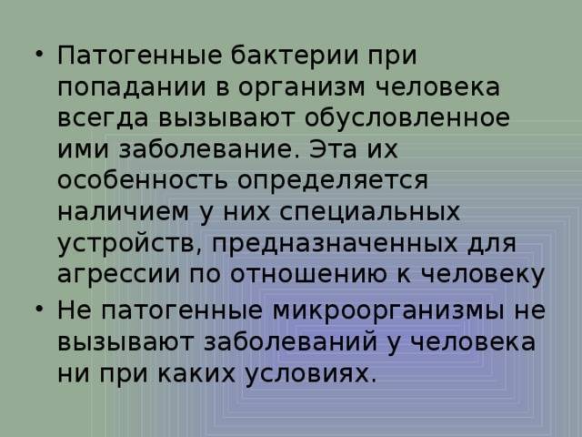 Роль бактерий в жизни человека