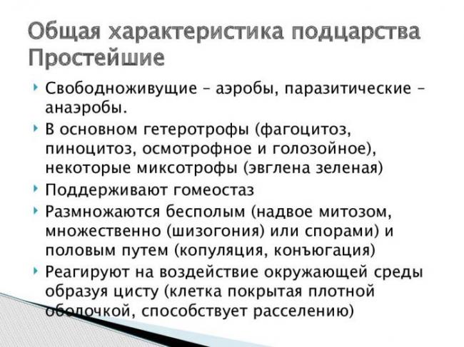 Изучаем родословную бактерий: это животные или растения?