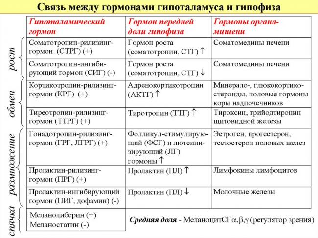 Адренокортикотропный гормон — википедия. что такое адренокортикотропный гормон