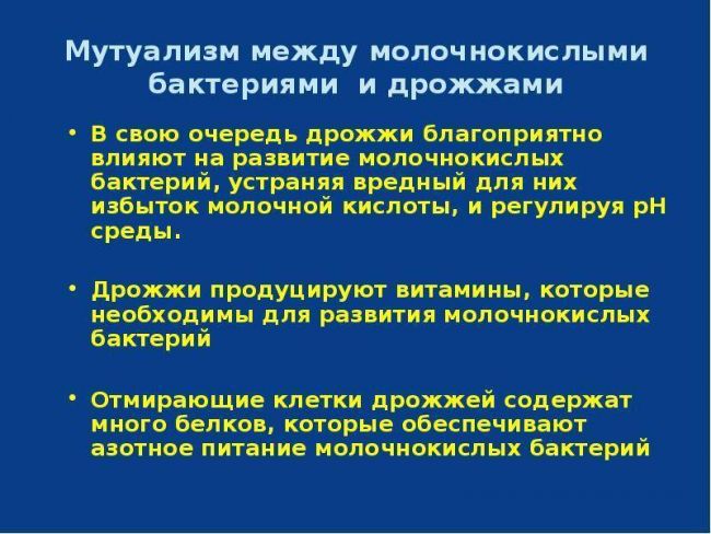 Польза и вред бактерий для человеческого организма