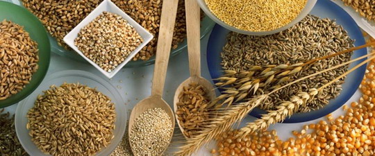 Содержание пуринов в продуктах питания