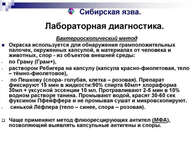 Презентация на тему: "возбудитель сибирской язвы план 1.морфология возбудителя 2. культуральные и биохимические свойства 3.диагностика и профилактика сибирской язвы здоровье.". скачать бесплатно и без регистрации.