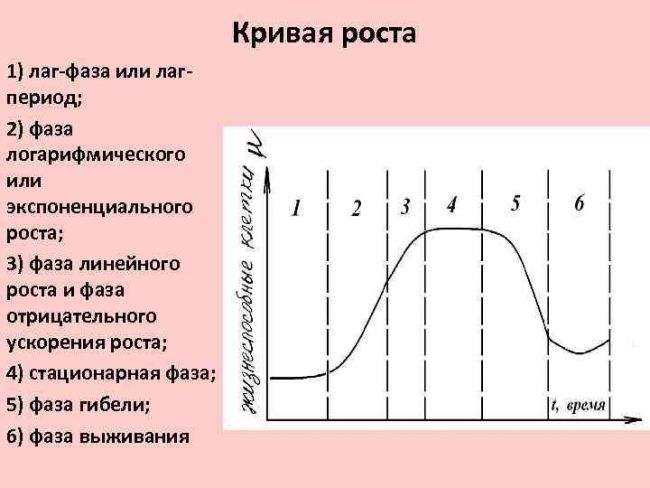 Закономерности развития популяций бактерий в окружающей среде - автореферат диссертации по ветеринарии скачать бесплатно на тему 'ветеринарная санитария, экология, зоогигиена и ветеринарно-санитарная экспертиза', специальность вак рф 16.00.06