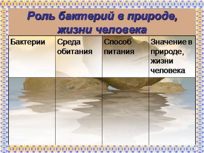 Бактерии в природе и промышленности - бактерии - самые мелкие и многочисленные живые существа