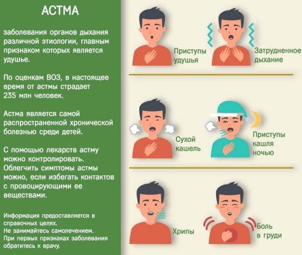 Алгоритм купирования приступов бронхиальной астмы: действия и препараты