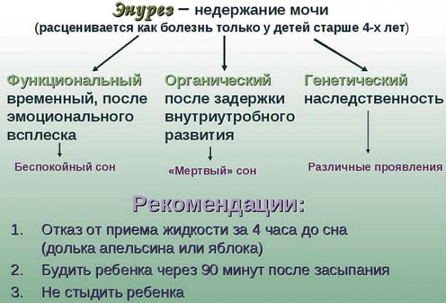 Ночной энурез у детей: немедикаментозное лечение