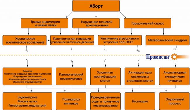 Принять таблетку vs сохранить беременность? как проходит медикаментозный аборт