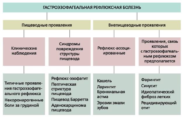 Гастроэзофагеальная рефлюксная болезнь (гэрб): что это такое, как бороться с болезнью?