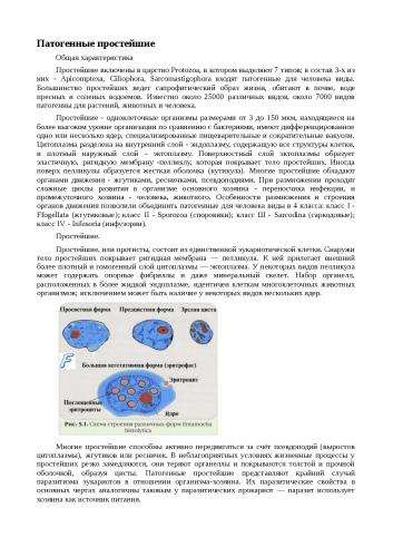 Разнообразие живого