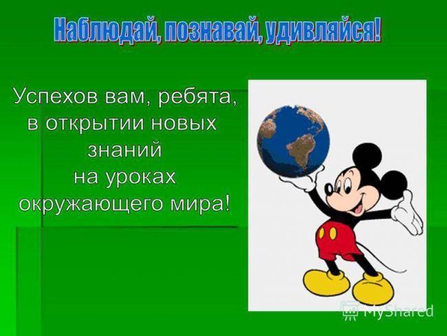 Разнообразие живого
