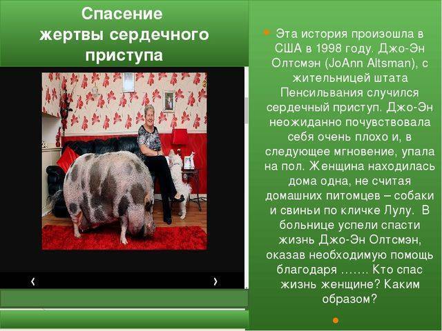 Биология: почему бактерии считаются самой древней группой живых существ на земле?какие...