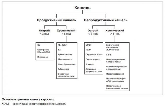 Затяжной кашель у взрослого: чем лечить, основные причины и симптомы