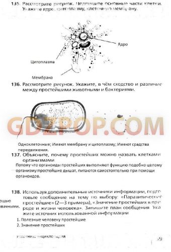Простейшие бактерии