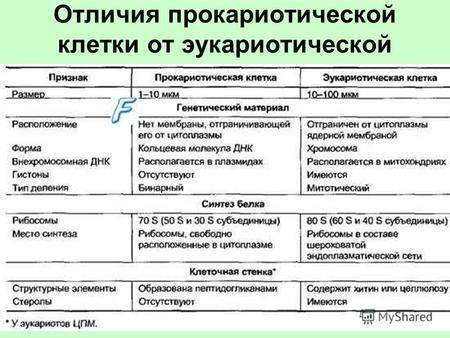 Особенности кислотоустойчивых бактерий как экологического или лабораторного понятия