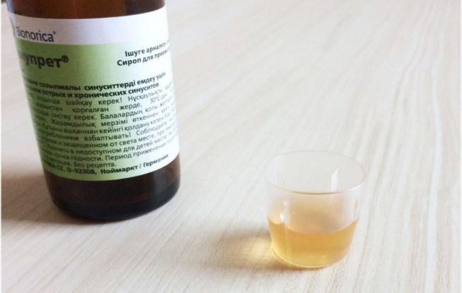 Дешевые аналоги синупрета растительного и синтетического происхождения