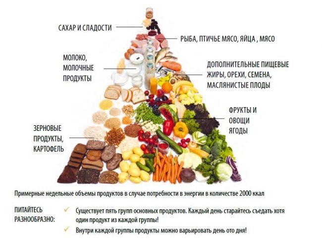 Болят почки: причины, симптомы заболеваний и быстрое лечение в домашних условиях