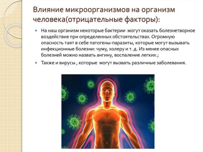 Разновидности условно патогенных микроорганизмов и их роль в микрофлоре человека